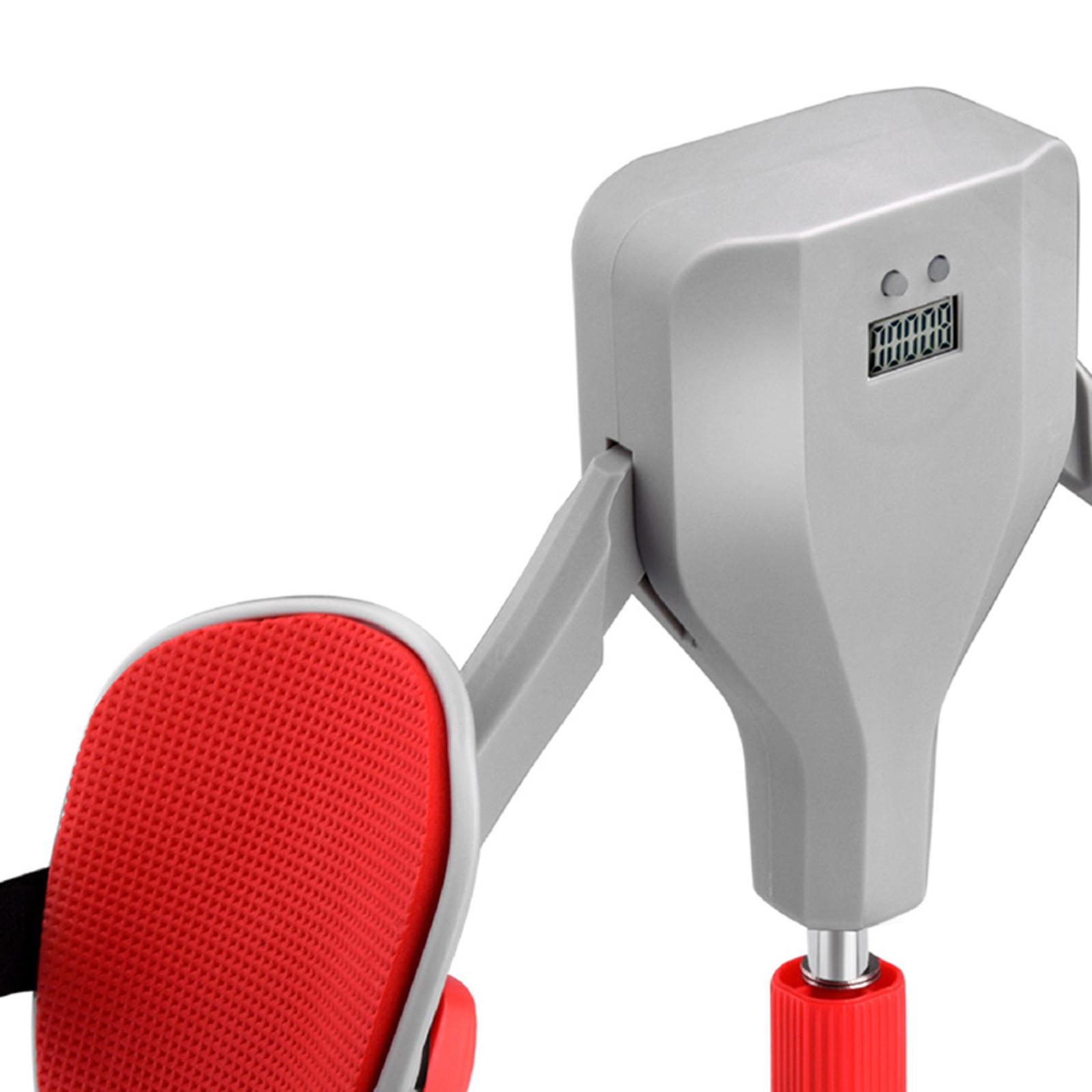 自宅での筋力トレーニングに最適な、調整可能なクランプ式の太も - Leg Home Gym Workout のレビューと価格